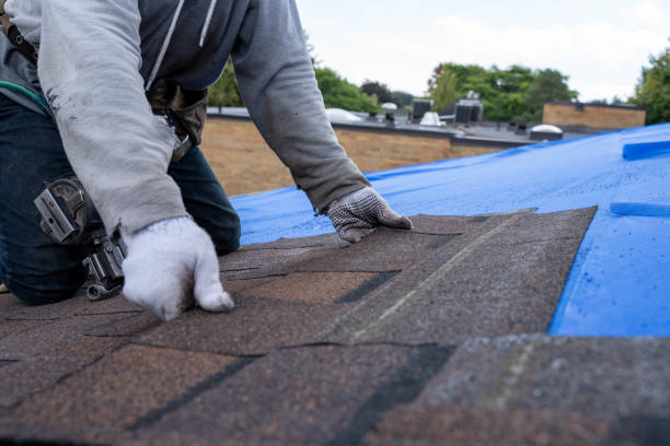 Roof Gutter Cleaning in Temple, TX